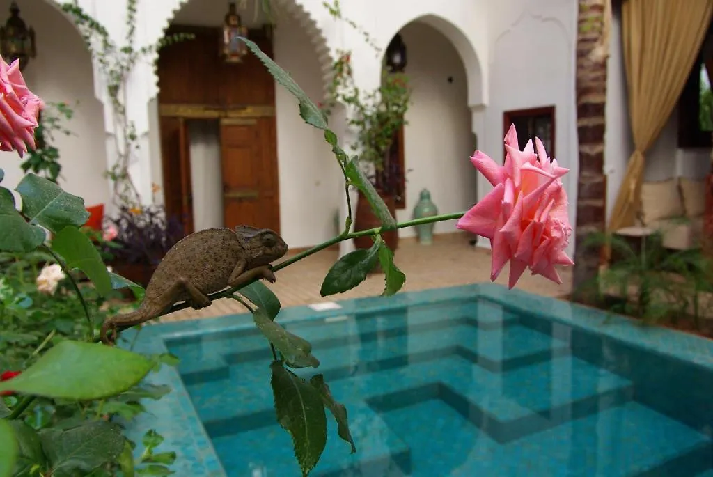 **** Alojamento de Acomodação e Pequeno-almoço Riad Ghali Hotel & Spa Marraquexe Marrocos